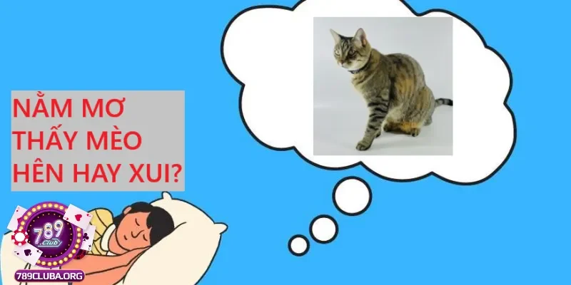 Nằm mơ thấy mèo liệu có xấu không?