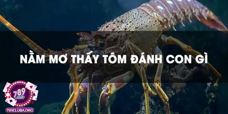 Đánh con số may mắn gì khi mơ thấy tôm?