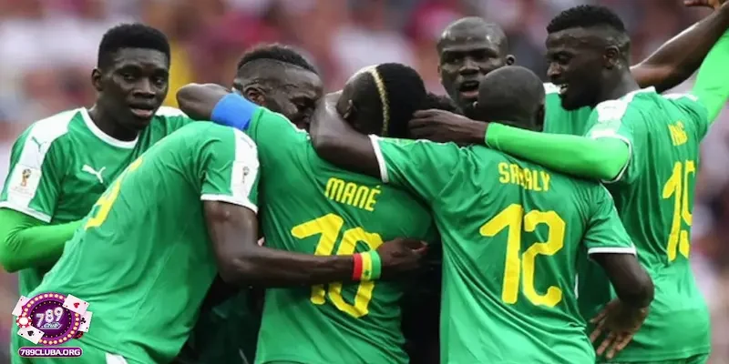 Tiềm năng và kỳ vọng trong tương lai của đội tuyển Cameroon